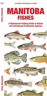 Produktbild: Manitoba Fishes