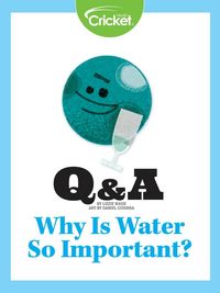Produktbild: Why is Water So Important?