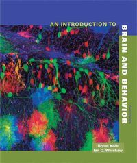 Produktbild: An Introduction to Brain and Behavior