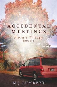 Produktbild: Accidental Meetings