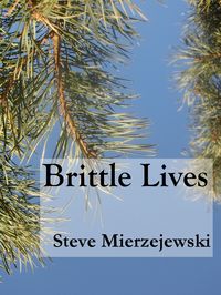 Produktbild: Brittle Lives