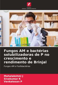 Produktbild: Fungos AM e bact&eacute;rias solubilizadoras de P no crescimento e rendimento de Brinjal