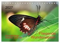 Produktbild: Fliegende Wunderwesen. Schmetterlinge weltweit, ganz nah (Tischkalender 2027 DIN A5 quer), CALVENDO Monatskalender