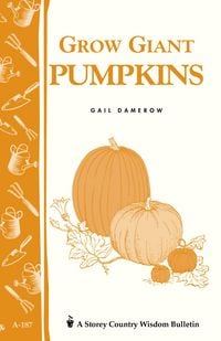 Produktbild: Grow Giant Pumpkins