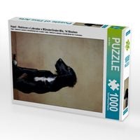 Produktbild: CALVENDO Puzzle Hazel - Retriever x Labrador x M&uuml;nsterl&auml;nder-Mix, 14 Wochen | 1000 Teile Lege-Gr&ouml;&szlig;e 64x48cm Foto-Puzzle f&uuml;r gl&uuml;ckliche Stunden