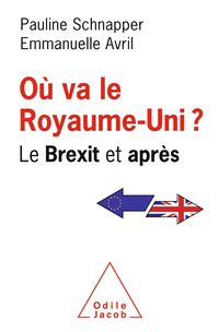Produktbild: Ou va le Royaume-Uni ?