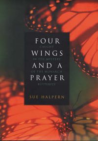 Produktbild: 4 Wings and a Prayer