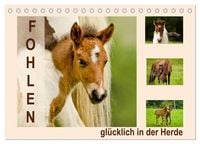 Produktbild: Fohlen, gl&uuml;cklich in der Herde (Tischkalender 2026 DIN A5 quer), CALVENDO Monatskalender