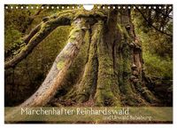 Produktbild: M&auml;rchenhafter Reinhardswald und Urwald Sababurg (Wandkalender 2026 DIN A4 quer), CALVENDO Monatskalender