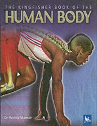 Produktbild: Kingfisher Book of the Human Body