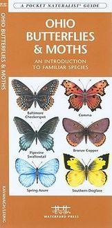 Produktbild: Ohio Butterflies & Moths
