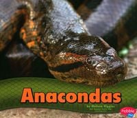 Produktbild: Higgins, M: Anacondas