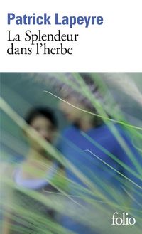 Produktbild: La splendeur dans l'herbe