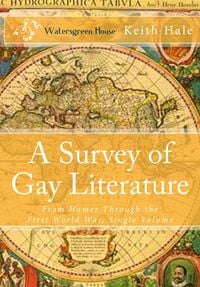 Produktbild: A Survey of Gay Literature