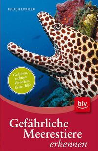 Bild vom Artikel Gefährliche Meerestiere erkennen vom Autor Dieter Eichler