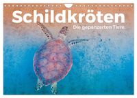 Produktbild: Schildkr&ouml;ten - Die gepanzerten Tiere. (Wandkalender 2026 DIN A4 quer), CALVENDO Monatskalender