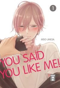 Produktbild: You Said You Like Me! 01