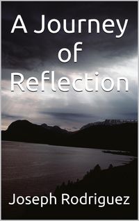 Produktbild: A Journey of Reflections