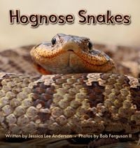 Produktbild: Hognose Snakes