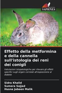 Produktbild: Effetto della metformina e della cannella sull'istologia dei reni dei conigli