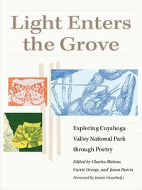 Produktbild: Light Enters the Grove