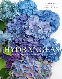Produktbild: Hydrangeas