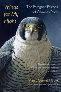 Produktbild: Wings for My Flight