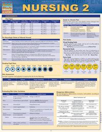 Produktbild: Nursing 2