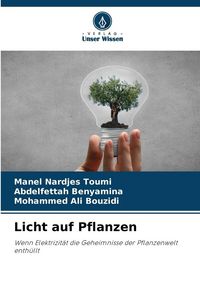 Produktbild: Licht auf Pflanzen