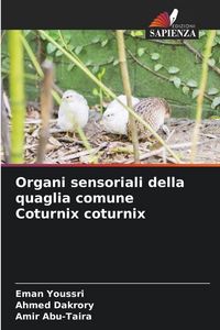 Produktbild: Organi sensoriali della quaglia comune Coturnix coturnix