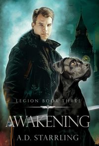 Produktbild: Awakening