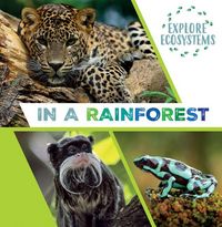 Produktbild: In a Rainforest