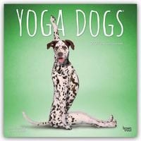 Produktbild: Yoga Dogs &ndash; Hunde Yoga 2027 &ndash; 16-Monatskalender