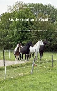 Produktbild: Gottes sanfter Spiegel