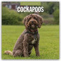 Produktbild: Cockapoos &ndash; Cockapoo 2027 &ndash; 16-Monatskalender