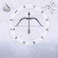 Produktbild: Skytten