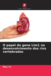 Produktbild: O papel do gene Lim1 no desenvolvimento dos rins vertebrados