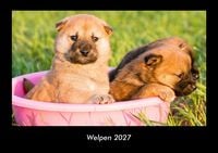 Produktbild: Welpen 2027 Fotokalender DIN A3