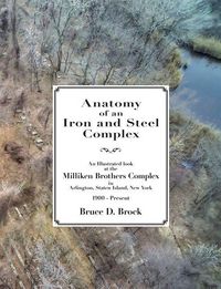 Produktbild: Anatomy of an Iron and Steel Complex
