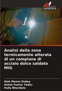 Produktbild: Analisi della zona termicamente alterata di un campione di acciaio dolce saldato MIG