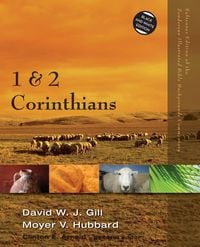 Produktbild: The 1 and 2 Corinthians