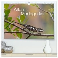 Produktbild: Wildnis Madagaskar (hochwertiger Premium Wandkalender 2027 DIN A2 quer), Kunstdruck in Hochglanz