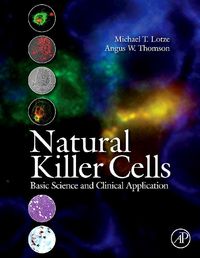 Produktbild: Natural Killer Cells