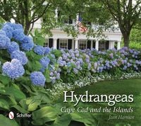 Produktbild: Hydrangeas