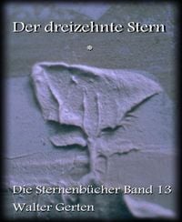 Produktbild: Der dreizehnte Stern