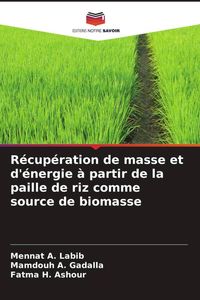 Produktbild: R&eacute;cup&eacute;ration de masse et d'&eacute;nergie &agrave; partir de la paille de riz comme source de biomasse