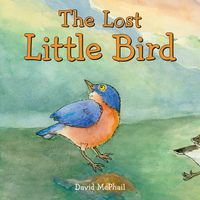 Produktbild: McPhail, D: The Lost Little Bird
