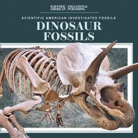 Produktbild: Dinosaur Fossils