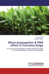Produktbild: Micro-propagation & EMS effect in Curcuma longa