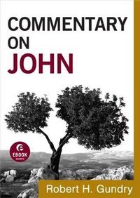 Produktbild: Commentary on John (Commentary on the New Testament Book #4)